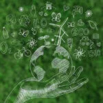 Çevre Dostu Dijital İnovasyonun Lideri: Aeris, ISO 14001 ile Yeşil Geleceğe İmza Atıyor 1